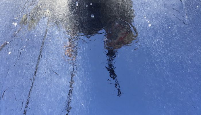 Window leak testing