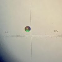 NiS in situ glass scanning