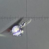 NiS inclusion in situ inspection